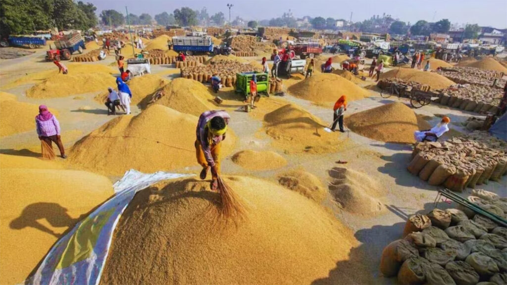 Farmers working in a grain market yard surrounded by large piles of harvested wheat and jute sacks during the procurement season in India.