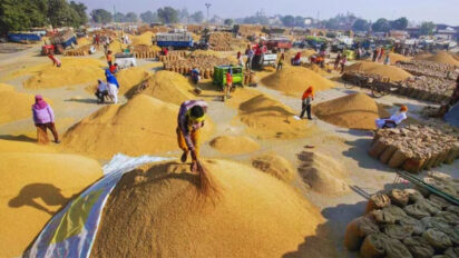 हरियाणा में खरीफ 2025-26: किसानों के खातों में ट्रांसफर हुए 544 करोड़, धान की खरीद 7 लाख मीट्रिक टन पार