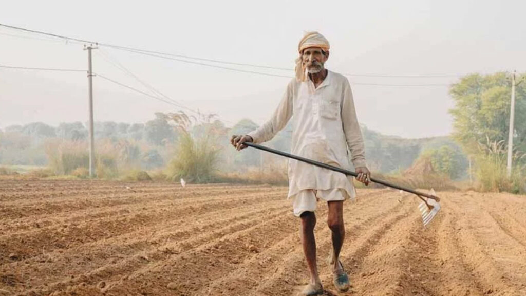 An elderly Indian farmer working in an agricultural field with a traditional tool