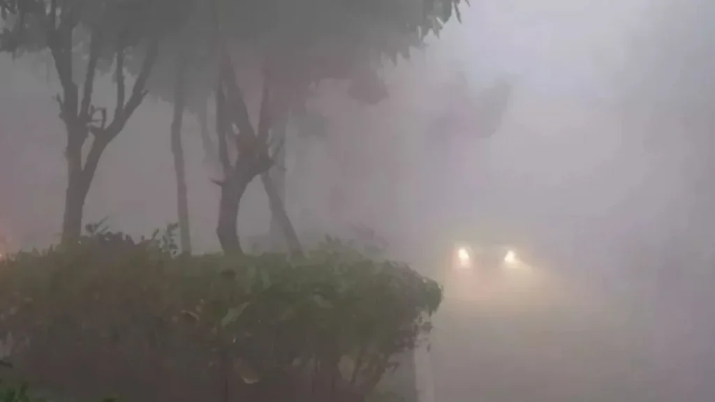 UP Weather