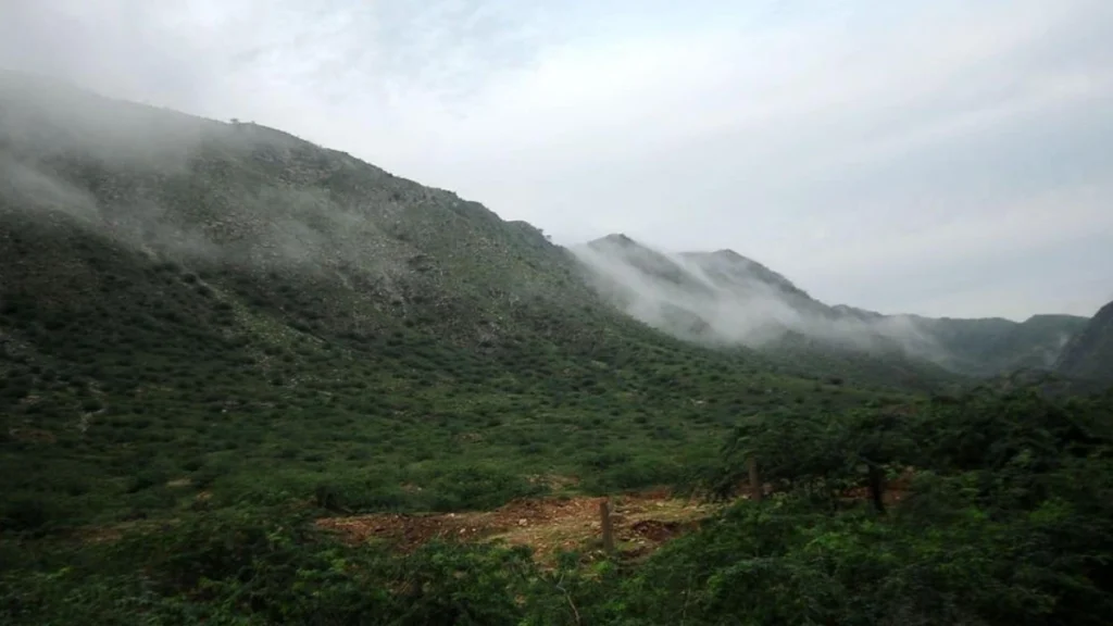 Aravalli Hills