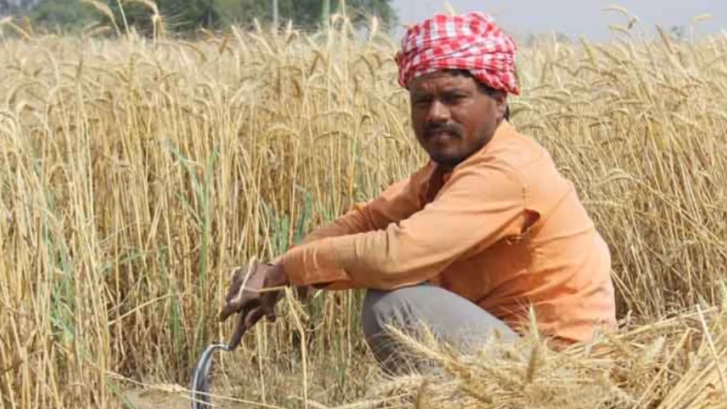 Farmers’ Income