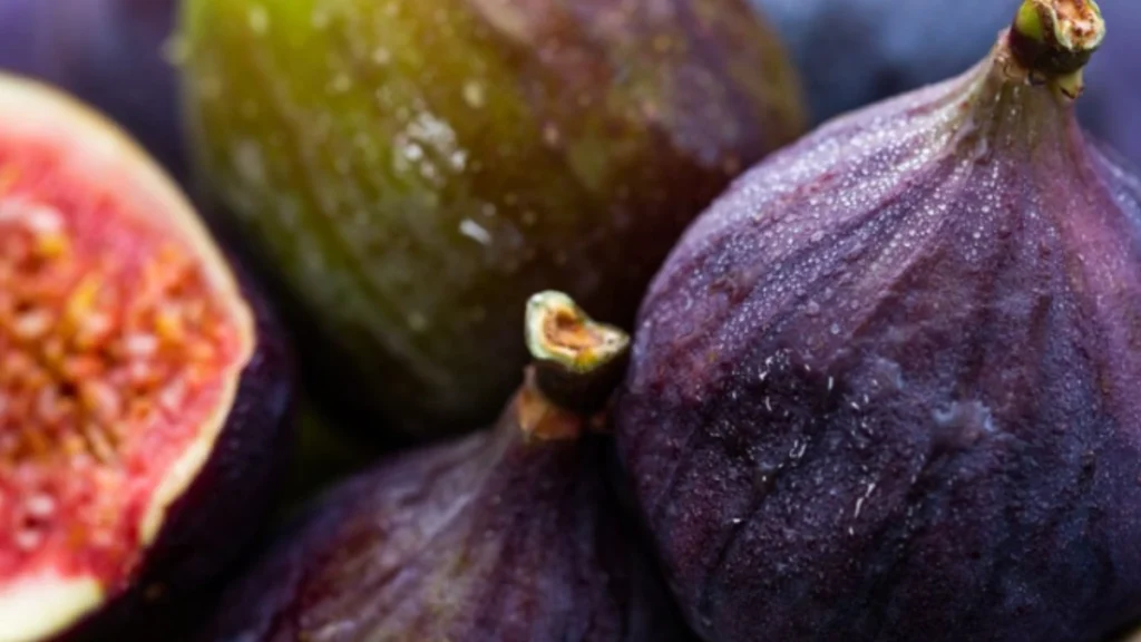 Fig Farming Scheme