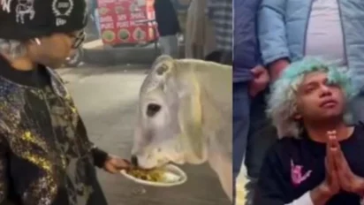 Gurugram News: यूट्यूबर का ‘मॉमोज फीड’ वीडियो विवादों में, गाय को खिलाने पर मचा हंगामा — युवक पर FIR