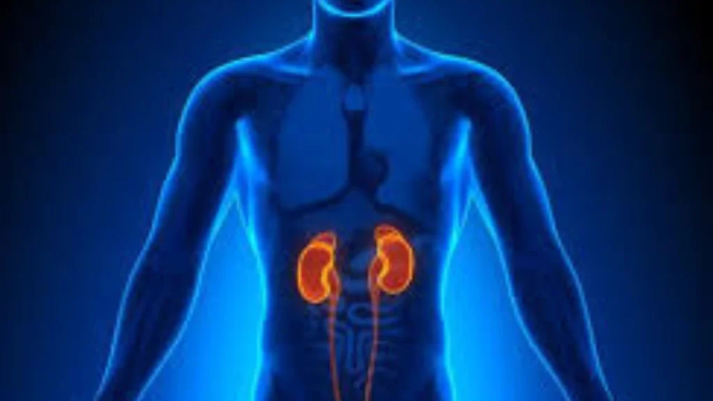Kidney Failure