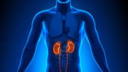Kidney Failure: शरीर के इन 3 बड़े बदलावों को अनदेखा करना हो सकता है खतरनाक