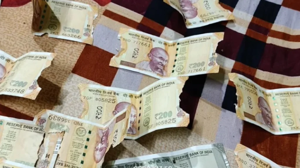 Rats Chewed ₹10,000 Cash