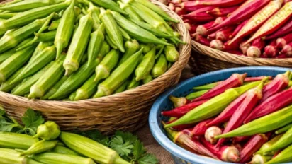 Bhindi ki kheti: भिंडी की 3 बेहतरीन किस्में जो देंगी अधिक पैदावार और मुनाफा
