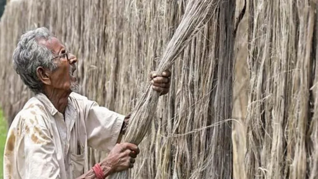 Jute Industry Crisis