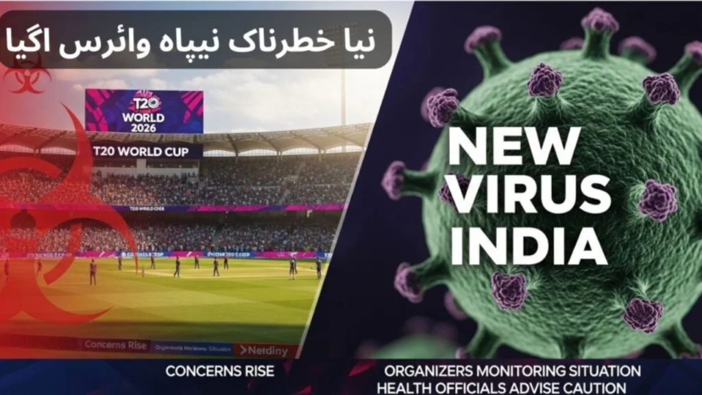 T20 World Cup