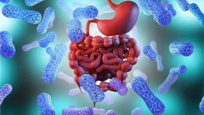 Cancer Treatment में बड़ी सफलता: पेट के बैक्टीरिया से इलाज