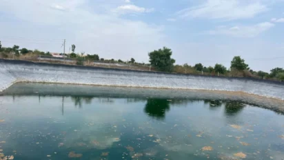 Fish Pond Care Tips: बदलते मौसम में तालाब का पानी साफ और संतुलित कैसे रखें