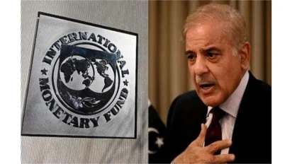 Pakistan IMF loan: IMF से पाकिस्तान को 1.2 अरब डॉलर, बढ़ी निर्भरता