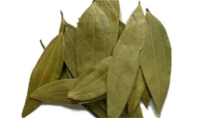 Bay Leaf Benefits: तकिए के नीचे तेजपत्ता रखकर क्यों सोते हैं लोग? जानिए रहस्य