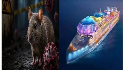 क्रूज शिप से फैला Hantavirus, 12 देशों में अलर्ट जारी