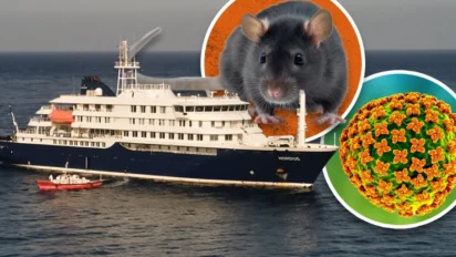 Hantavirus Outbreak: 3 मौतें, 40 यात्री Saint Helena द्वीप पर उतारे गए