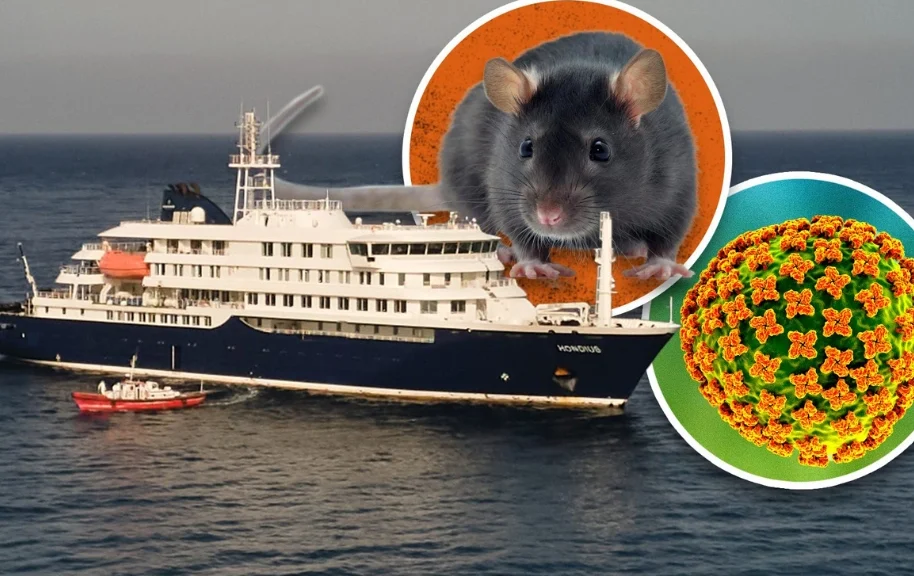 Hantavirus Outbreak